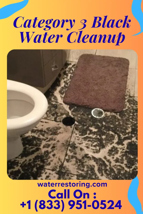 Category 3 Black Water Cleanup in Ski Gap, PA