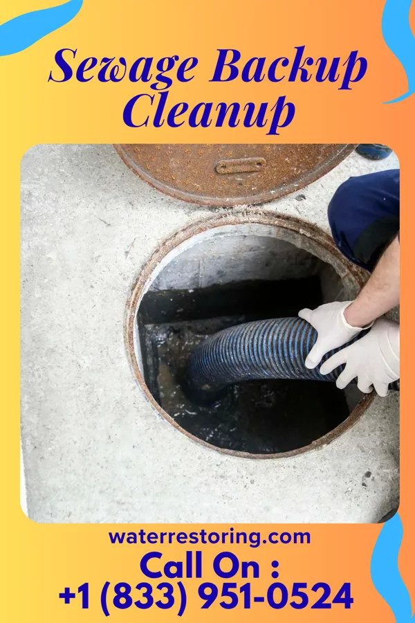 Sewage Backup Cleanup in Ski Gap, PA